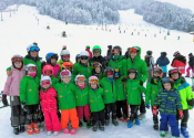 Zimovanje Kranjska Gora