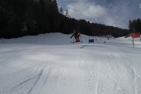 IMG-379e4c3ea9e7fbdf60d9f8516d9813ea-V