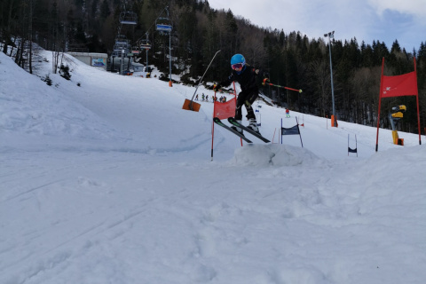 IMG-692765a4b8100e189f1ffc23bba89e78-V